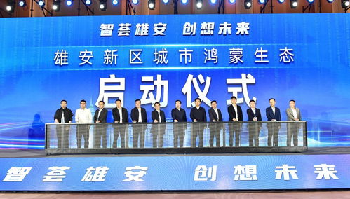 雄安新區舉辦2023軟件和信息技術服務業創新發展論壇，聚焦信息技術咨詢服務